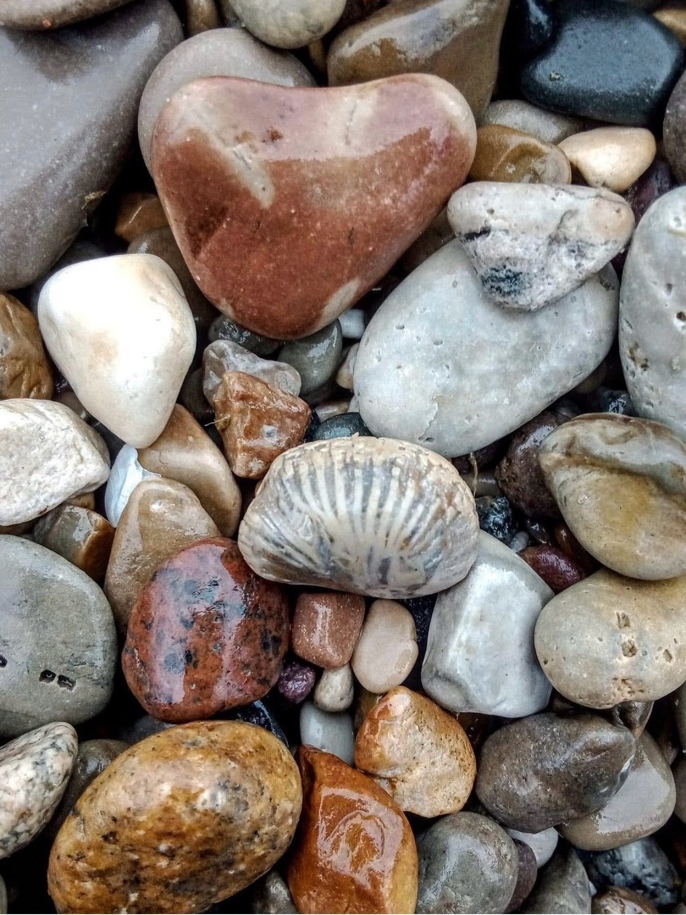 Lake Michigan Great Lakes Pallet. Yooperlites, fossils, beach glass, hag stones. - Picture 3 of 16